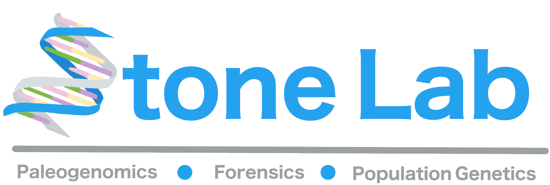Stonelab logo